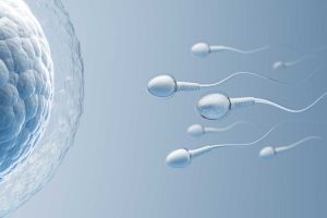 combien de temps le sperm se recharge 1