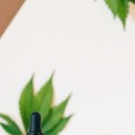les effets du cannabidiol cbd ce que vous devez absolument savoir 1